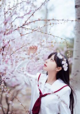 女人高潮视频_剧情片免费观看电视剧